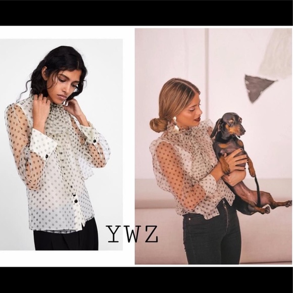 Zara button down top - Picture 10 of 10